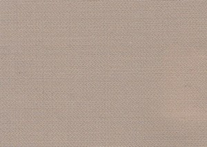 Beige Plain